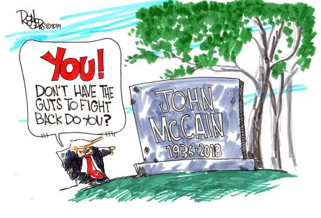 Trump vs McCain again
