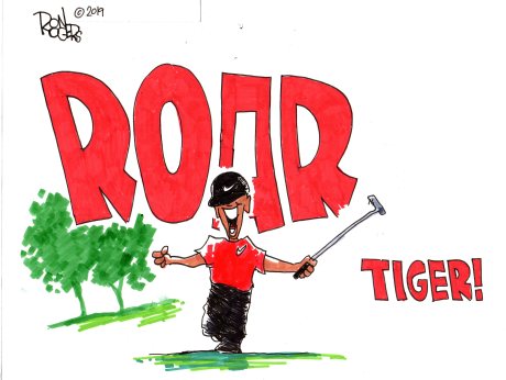 Roar Tiger2